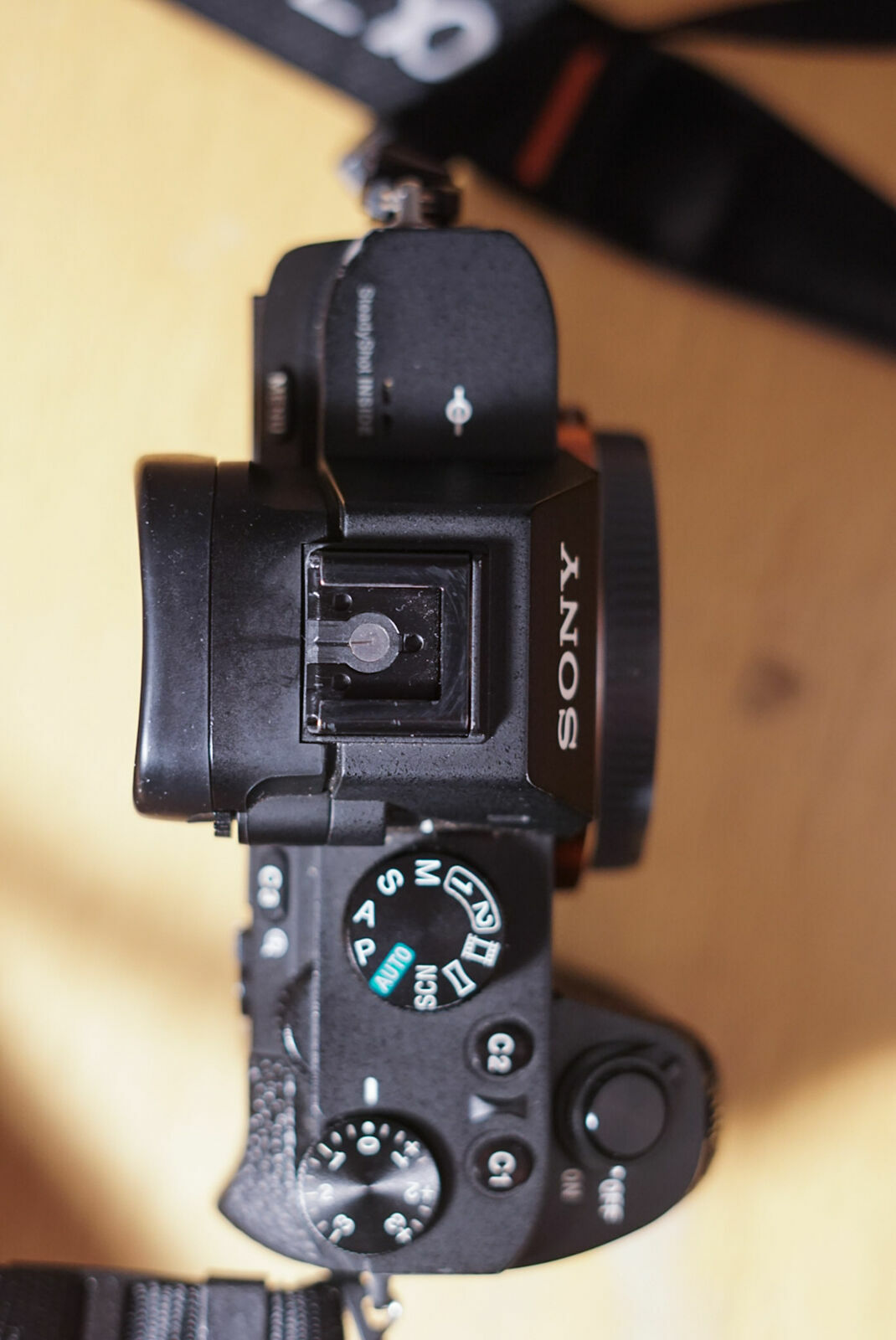 Foto Comparação entre Câmeras Full Frame e APS-C: Vantagens e Desvantagens para Fotógrafos Profissionais - Imagem 0